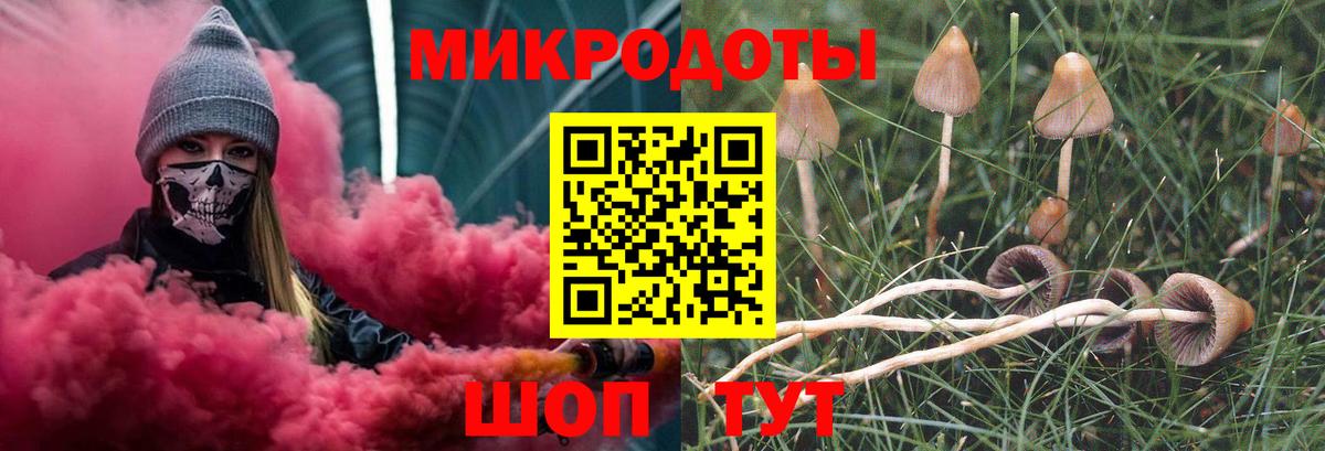 Галлюциногенные грибы Cubensis  Псилоцибиновые грибы Psilocybine cubensis  Будённовск  Вход с VPN 